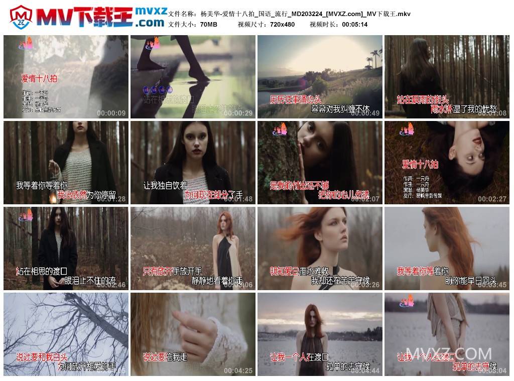 杨美华-爱情十八拍_国语_流行_MD203224